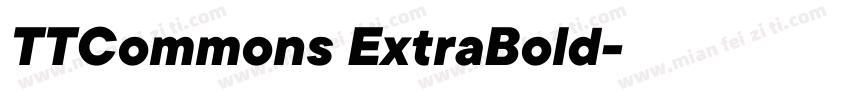 TTCommons ExtraBold字体转换